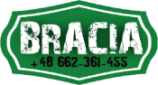 Bracia Przewozy